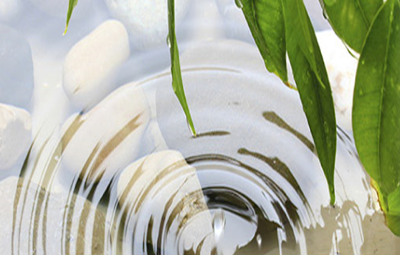 Immagine rappresentante acqua e foglie