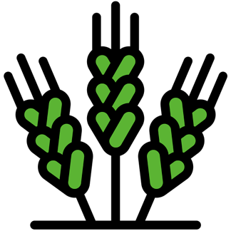 Agricoltura e foreste