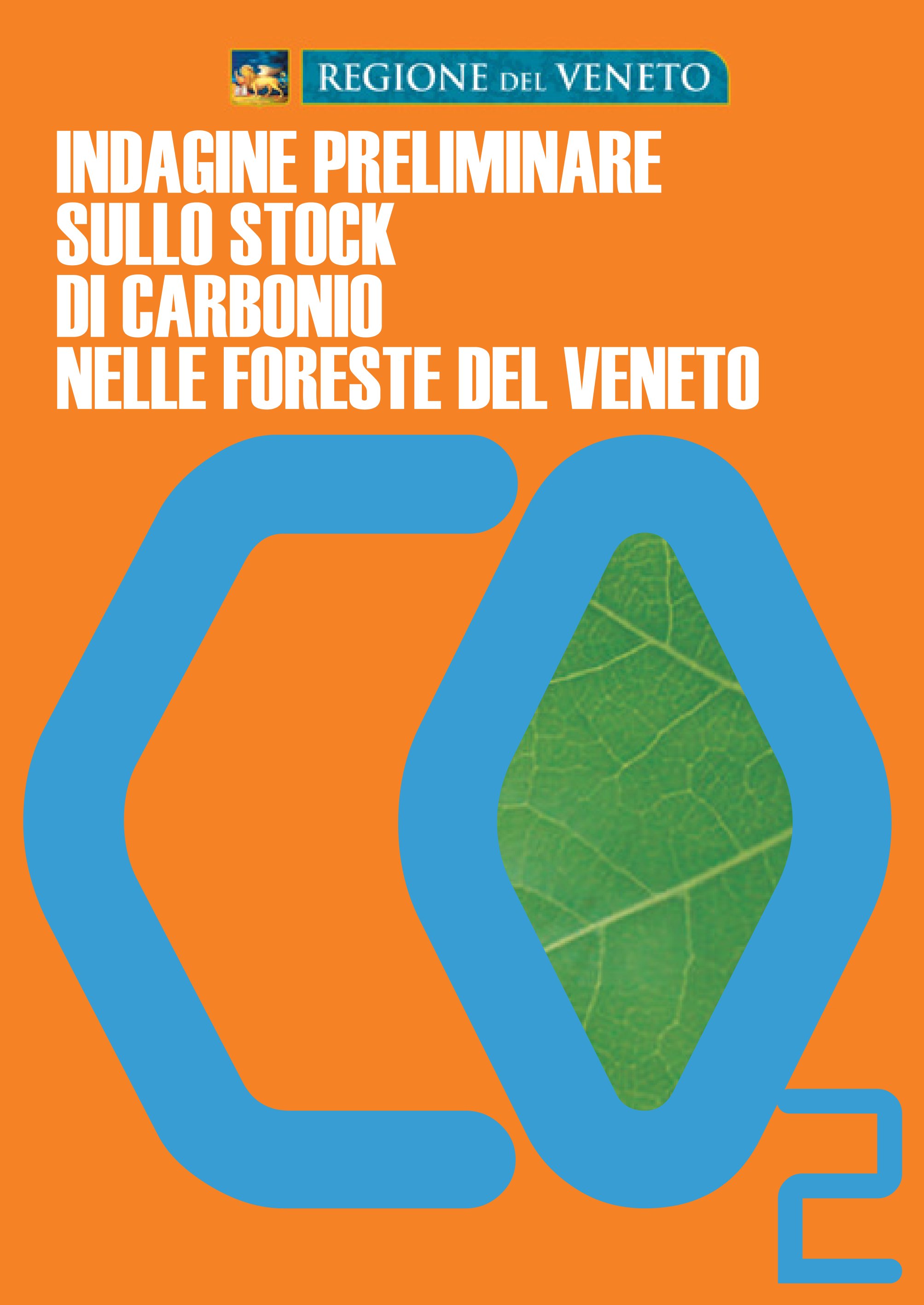 Indagine preliminare stock di carbonio nelle foreste del Veneto