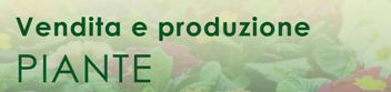 Logo Vendita e produzione piante