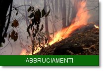 banner abbruciamenti