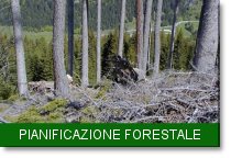 banner programmazione silvopastorale