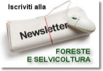 banner newsletter foreste e selvicoltura