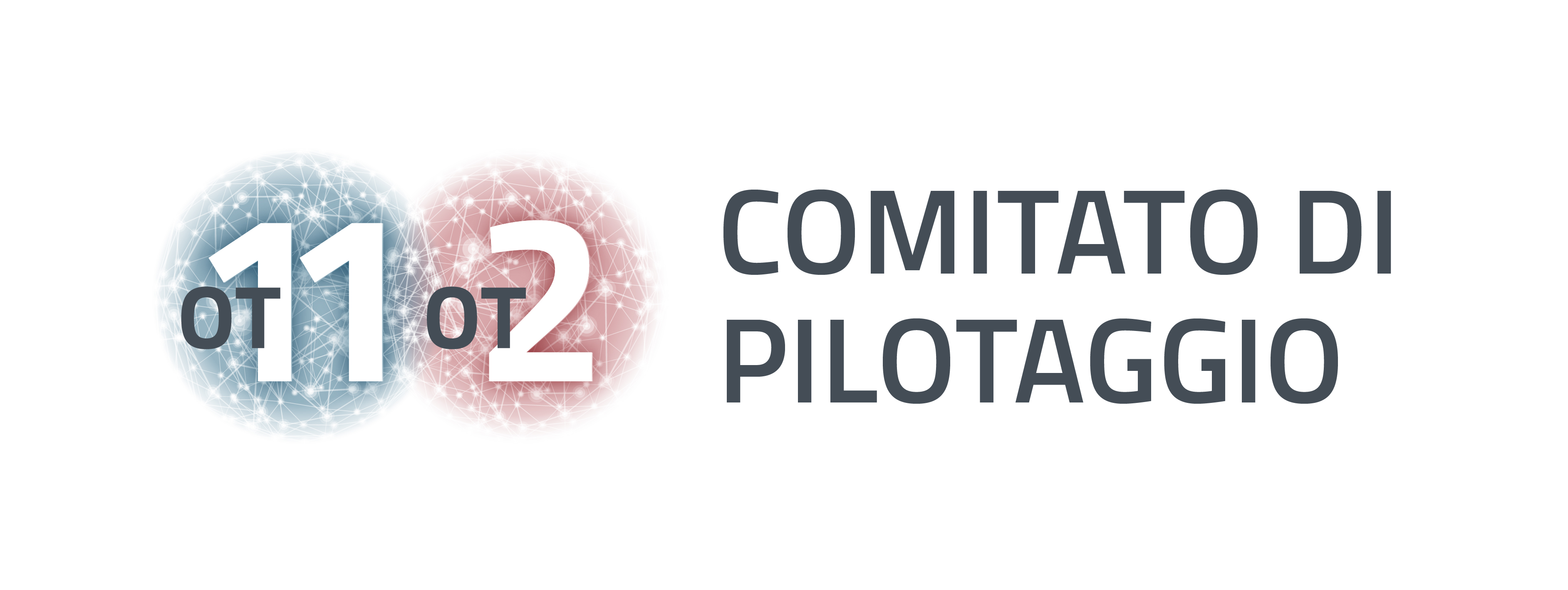 comitato di pilotaggio