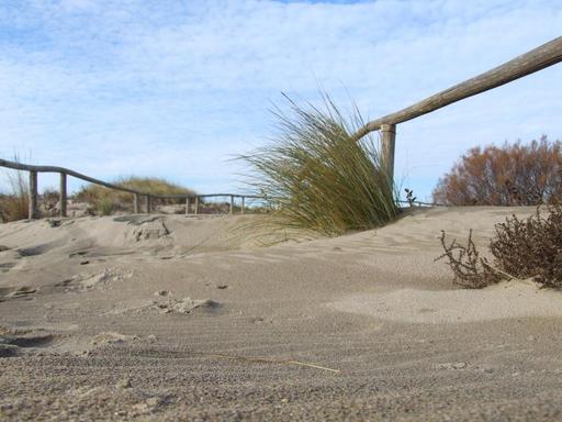 Immagine dal concorso fotografico "Paesaggio, luoghi persone e prospettive"
