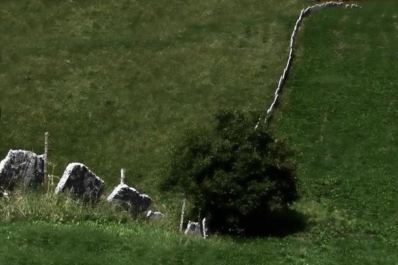 Immagine dal concorso fotografico "Paesaggio, luoghi persone e prospettive"