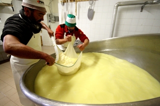 Produzione del formaggio produzione del formaggio